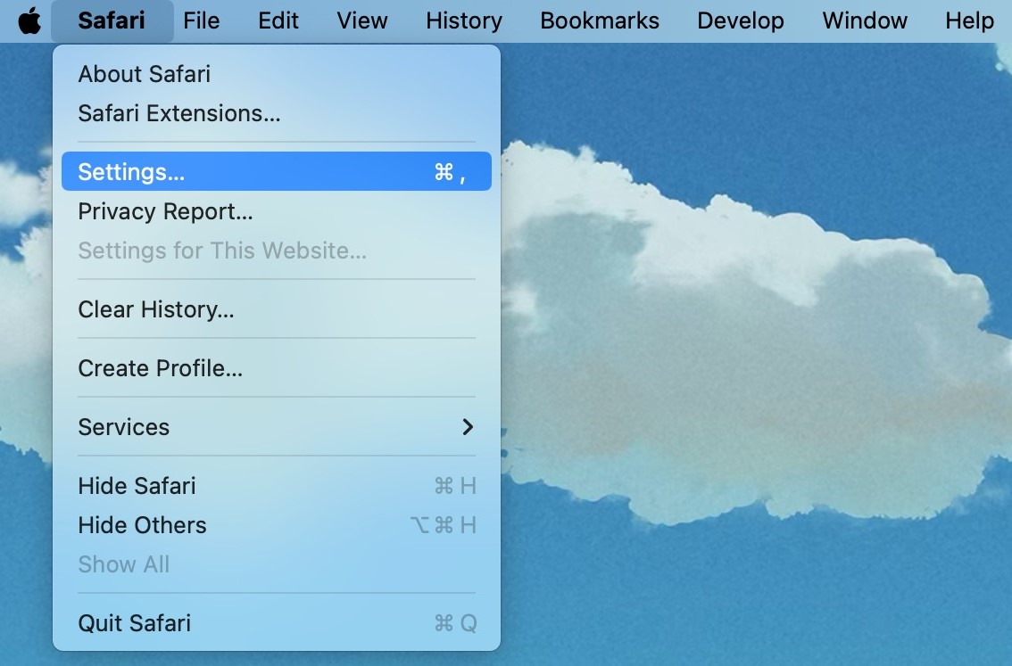 Safari Settings.JPEG
